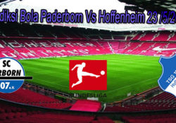 Prediksi Bola Paderborn Vs Hoffenheim 23/5/2020